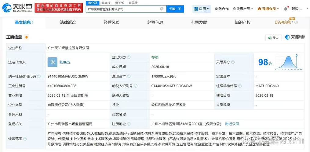 注册资本17亿人民币 大数据服务与信息系统集成服务的战略布局